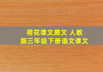 荷花课文原文 人教版三年级下册语文课文